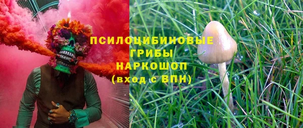 бошки Алексин