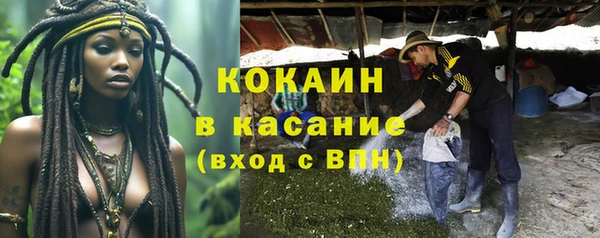 бошки Алексин